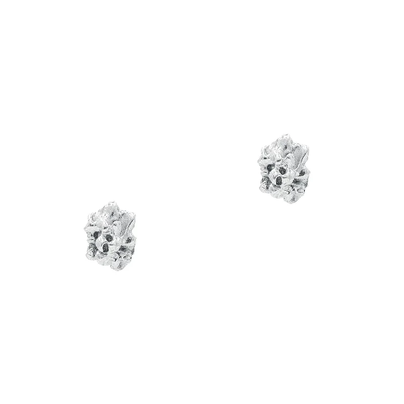 Women’s diamond stud earrings-The Asteria Silver Earrings