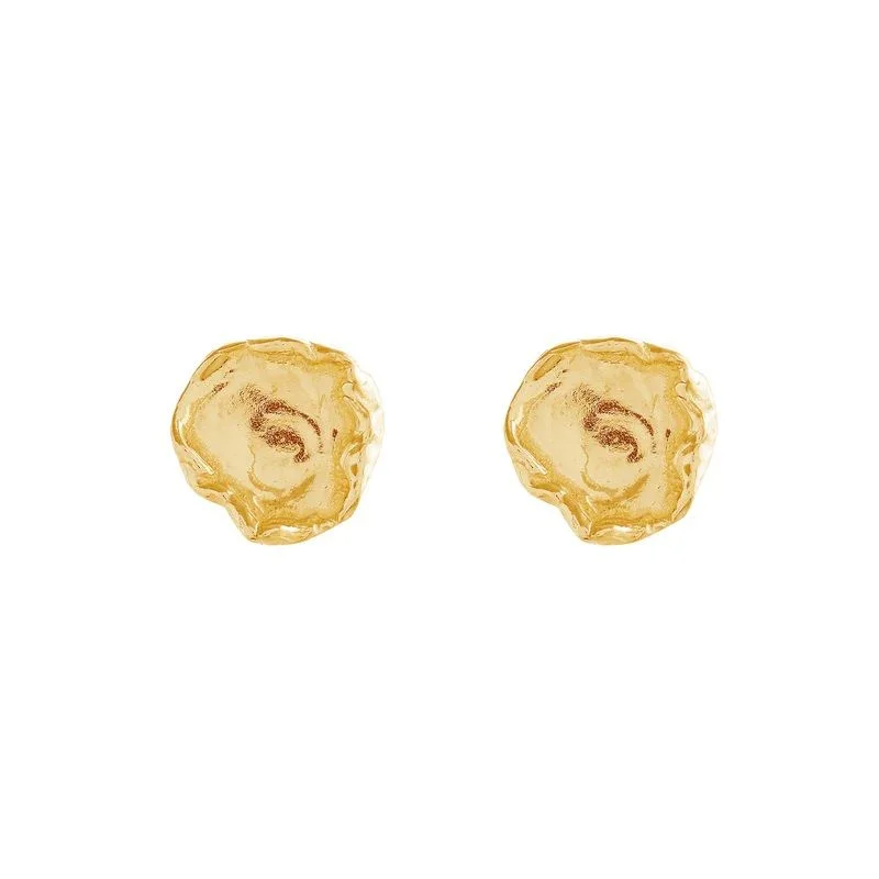 Women’s luxury hoop earrings-Arva Gold Plated Earrings